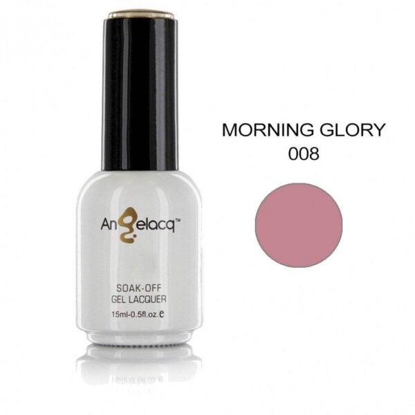 morning-glory
